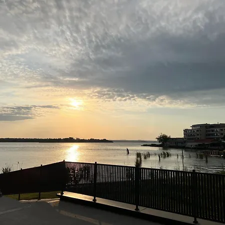 Apartment Purple Luxury On